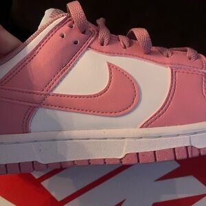 Women’s Nike Elemental Pink Dunks Size 8